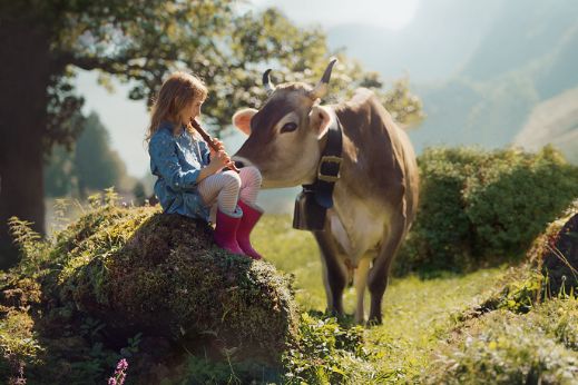 group-emmi-luzerner-brands-key-visual-teaser