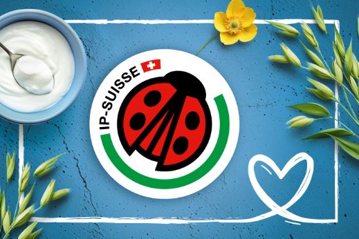 milch-ip-suisse-teaser-m